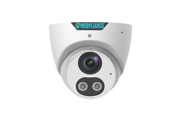 4K HD Network Eyeball Camera Image